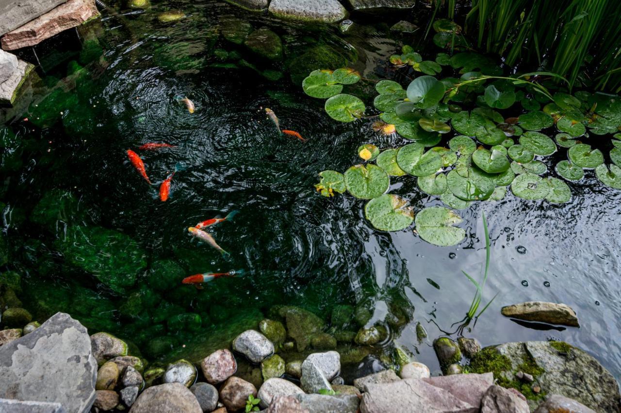 The Secret Garden Inn Kingston Ngoại thất bức ảnh